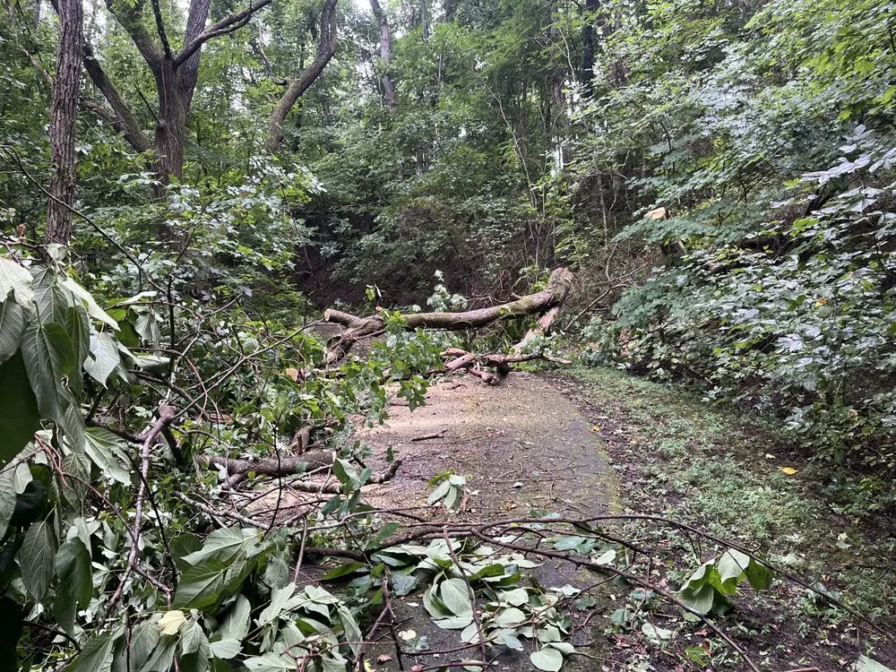 Custom landscape design experts serving Knoxville, TN - Barkin Trees & Landscaping