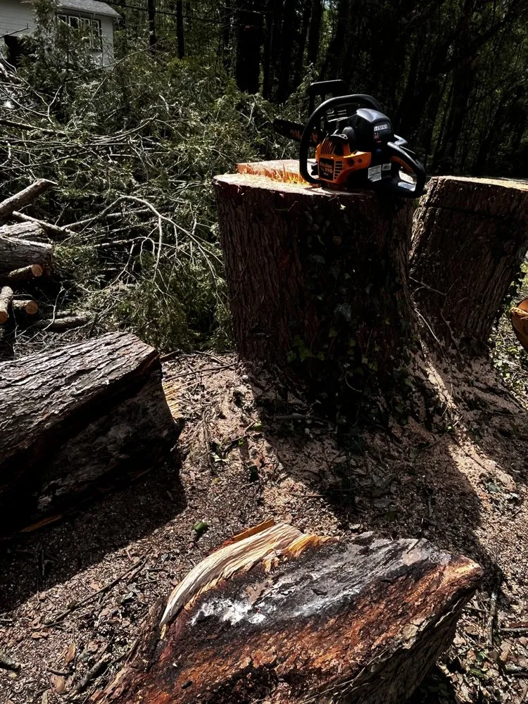 Local lawn care service in Knoxville, TN - Barkin Trees & Landscaping