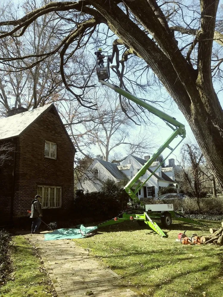 Trusted yard maintenance for year-round maintenance in Knoxville, TN by Barkin Trees & Landscaping