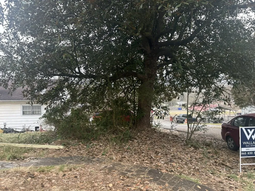 Custom residential landscaping in Knoxville, TN by Barkin Trees & Landscaping