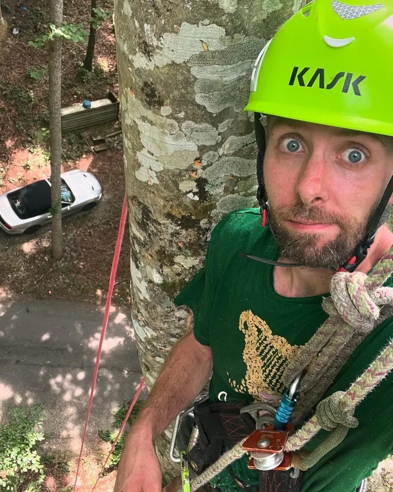 Custom landscape design for homes across Knoxville, TN - Barkin Trees & Landscaping