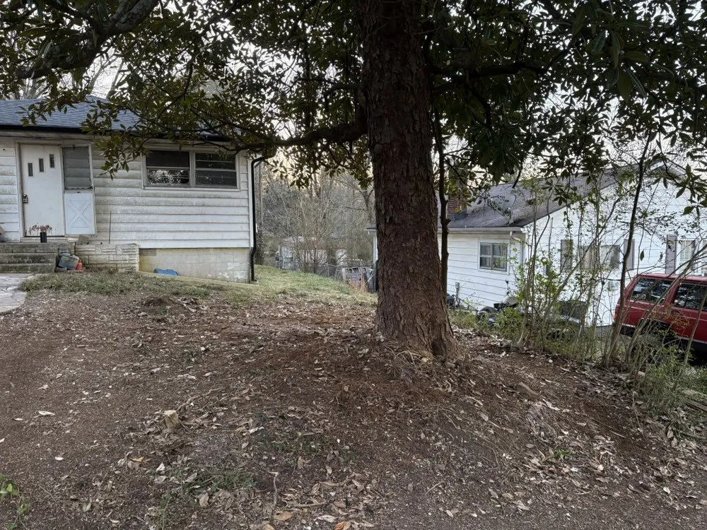 Reliable outdoor landscaping in Knoxville, TN - Barkin Trees & Landscaping