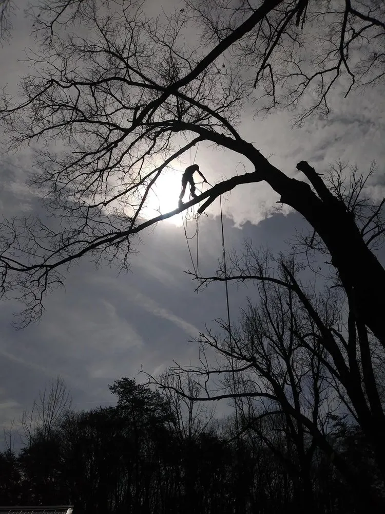 Custom outdoor landscaping with custom design in Knoxville, TN by Barkin Trees & Landscaping