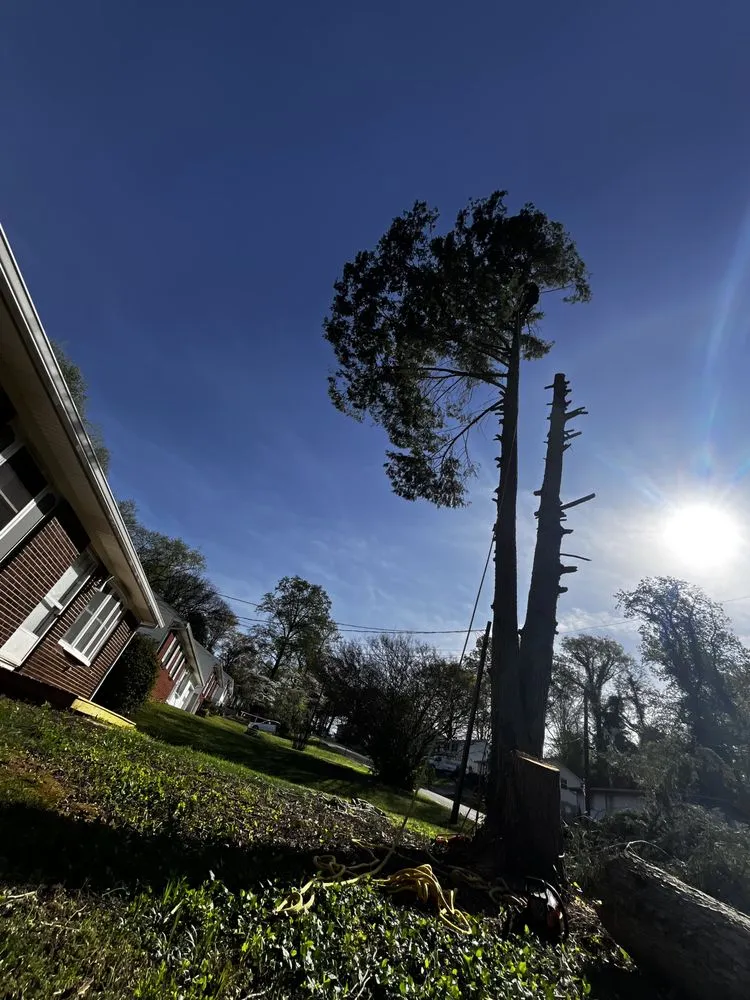 Professional outdoor landscaping in Knoxville, TN - Barkin Trees & Landscaping