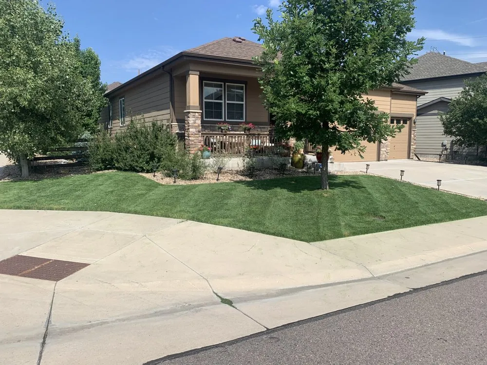Expert landscape design in Aurora, CO - Barking Dog Services