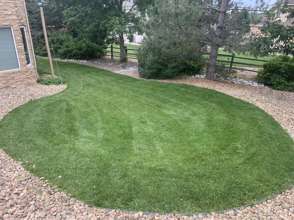 Professional garden landscaping for beautiful yards across Aurora, CO - Barking Dog Services