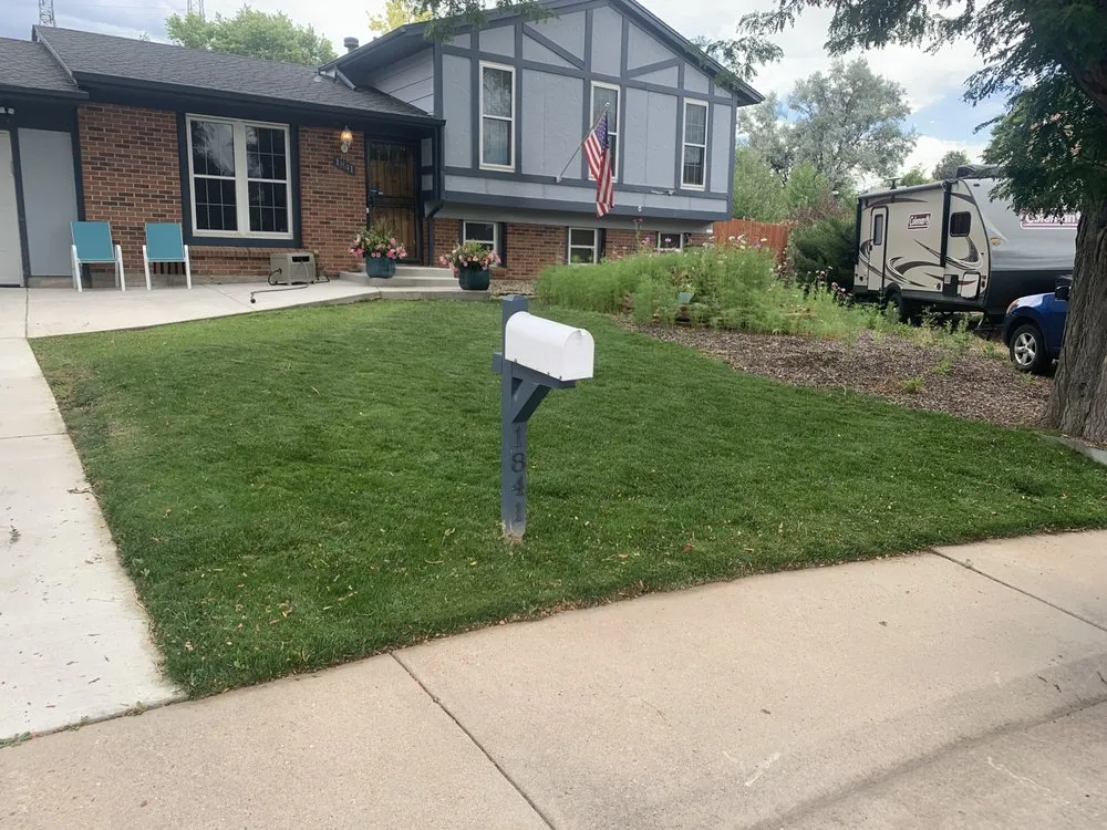 Reliable lawn mowing service in Aurora, CO by Barking Dog Services