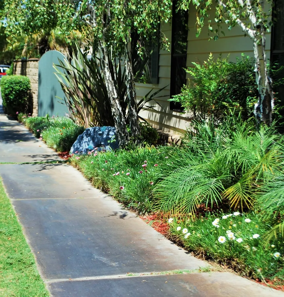 Expert outdoor landscaping for year-round maintenance in El Cajon, CA by Barkley Landscape