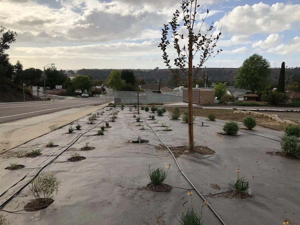 Local yard maintenance in El Cajon, CA - Barkley Landscape