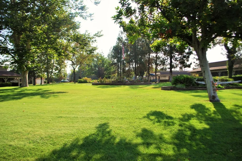 Top-rated garden landscaping experts serving El Cajon, CA - Barkley Landscape