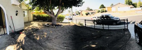 Barkley Landscape Logo