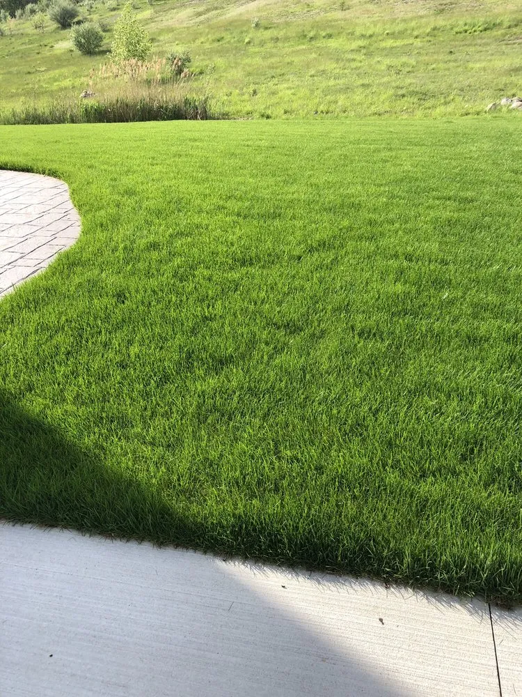 Top-rated yard maintenance in Davison, MI - Barkman Landscaping