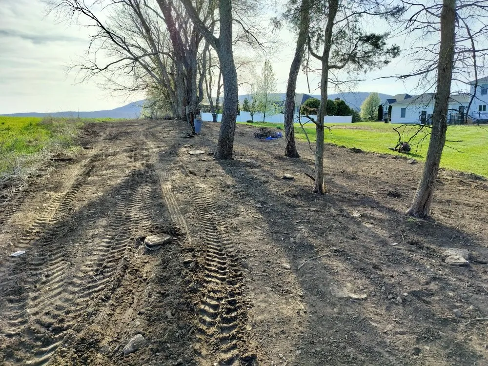 Expert yard maintenance experts serving South Hadley, MA - Barko's Property Service