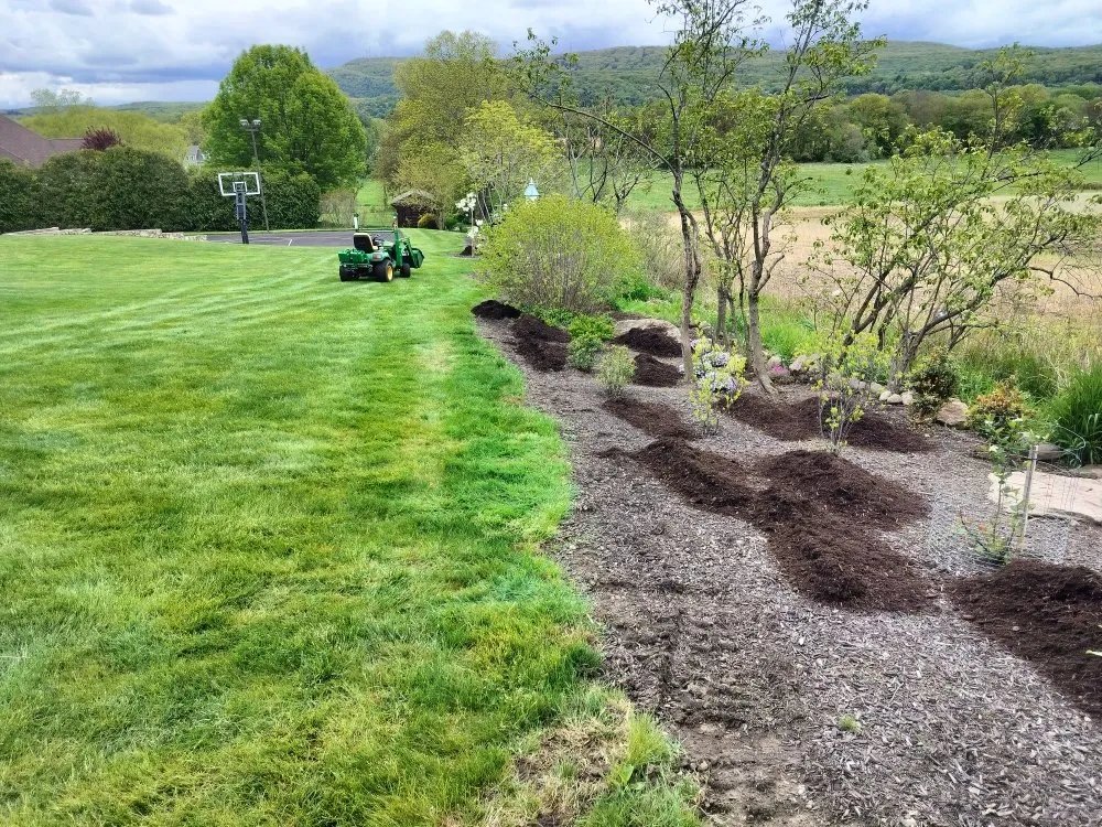 Top-rated lawn care service for beautiful yards across South Hadley, MA - Barko's Property Service