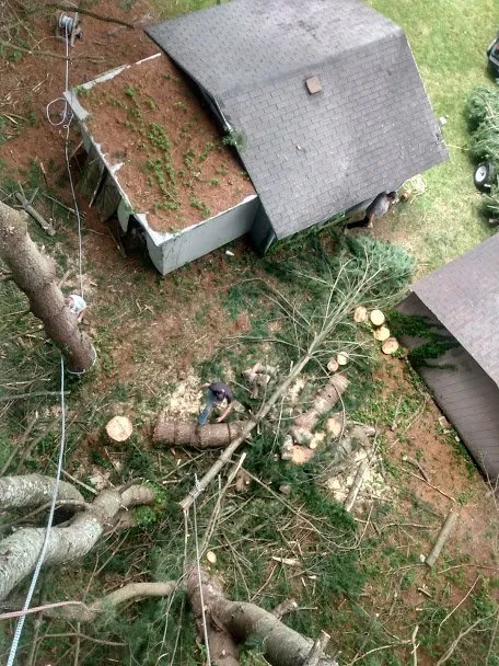 Expert garden landscaping in Middlesboro, KY by Barks Tree and Lawn Service