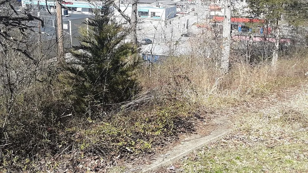 Expert yard maintenance in Middlesboro, KY by Barks Tree and Lawn Service