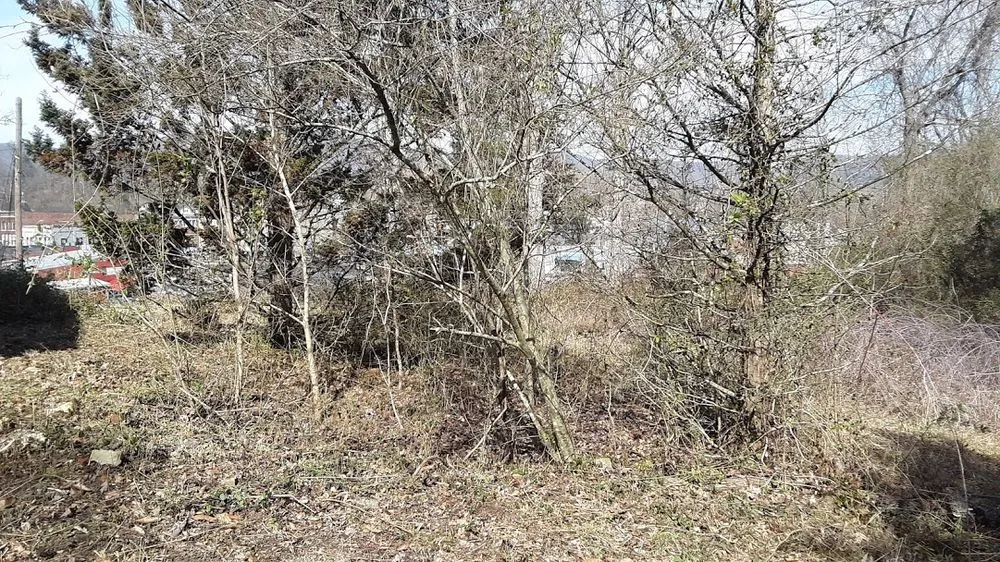 Custom lawn mowing service in Middlesboro, KY by Barks Tree and Lawn Service