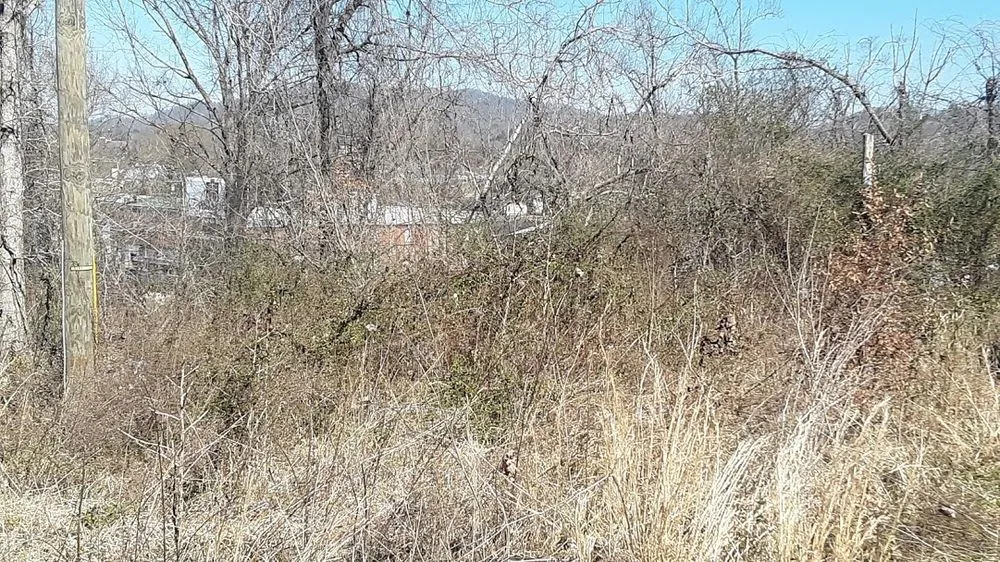 Expert landscape design experts serving Middlesboro, KY - Barks Tree and Lawn Service