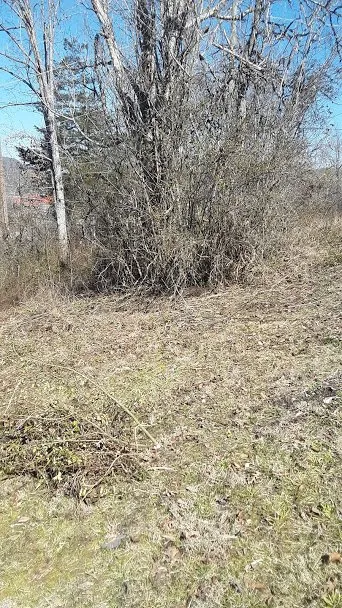 Professional outdoor landscaping with custom design in Middlesboro, KY by Barks Tree and Lawn Service