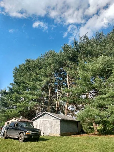 Professional residential landscaping for year-round maintenance across Middlesboro, KY - Barks Tree and Lawn Service