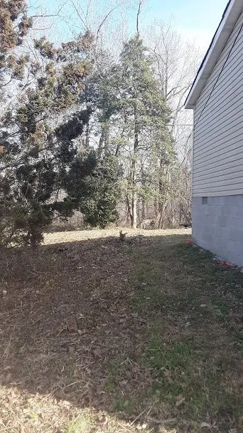 Custom lawn care service for beautiful yards across Middlesboro, KY - Barks Tree and Lawn Service