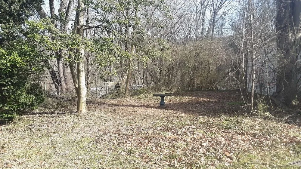 Trusted landscape installation near you in Middlesboro, KY by Barks Tree and Lawn Service