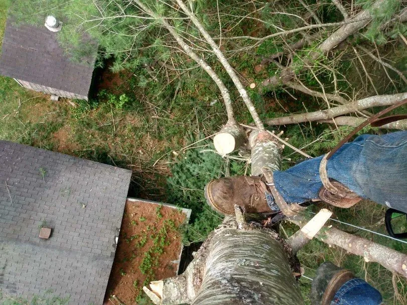 Top-rated residential landscaping for residential properties in Middlesboro, KY by Barks Tree and Lawn Service