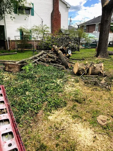 Top-rated lawn care service for residential properties across Middlesboro, KY - Barks Tree and Lawn Service