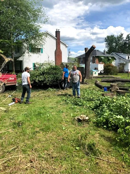 Affordable lawn mowing service in Middlesboro, KY by Barks Tree and Lawn Service