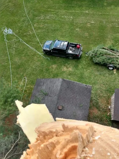 Top-rated yard maintenance with custom design in Middlesboro, KY by Barks Tree and Lawn Service