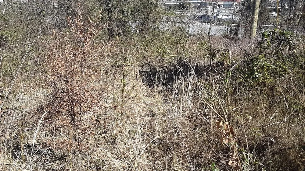 Local lawn mowing service in Middlesboro, KY - Barks Tree and Lawn Service