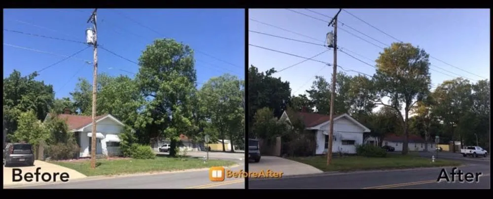 Expert yard cleanup service in Dallas, TX by Barksdale's Tree Service