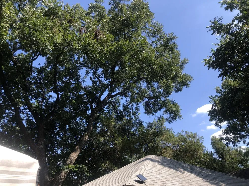 Local landscape installation in Dallas, TX by Barksdale's Tree Service