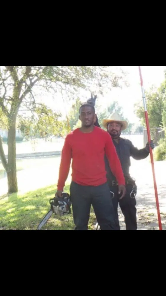 Reliable garden landscaping for beautiful yards in Dallas, TX by Barksdale's Tree Service