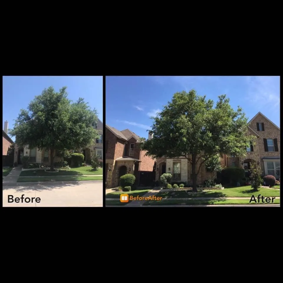 Reliable outdoor landscaping experts serving Dallas, TX - Barksdale's Tree Service