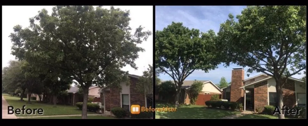 Reliable garden landscaping with custom design across Dallas, TX - Barksdale's Tree Service