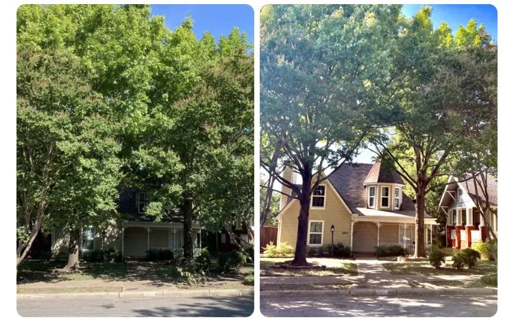 Expert landscape installation for outdoor upgrades in Dallas, TX by Barksdale's Tree Service