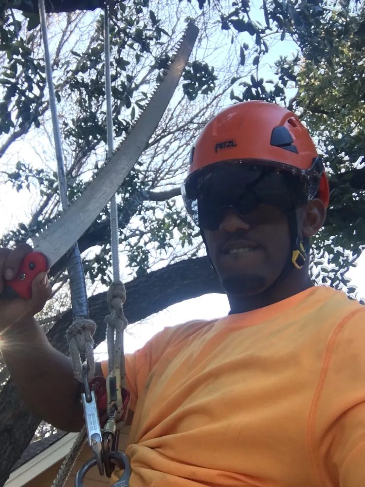 Trusted landscape installation for residential properties in Dallas, TX by Barksdale's Tree Service