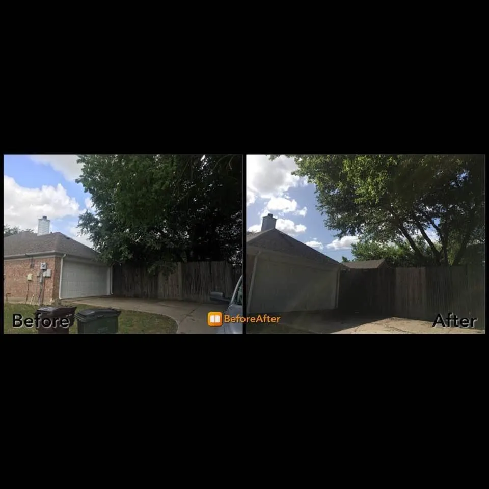 Local lawn mowing service with custom design across Dallas, TX - Barksdale's Tree Service