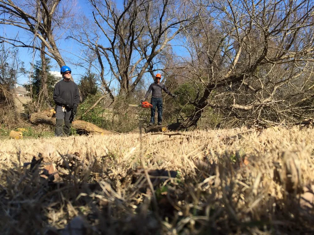 Trusted residential landscaping for outdoor upgrades across Dallas, TX - Barksdale's Tree Service