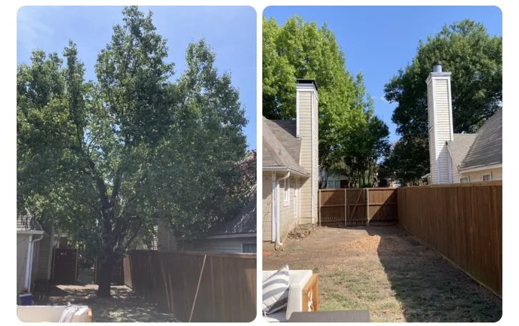 Affordable landscaping services in Dallas, TX by Barksdale's Tree Service