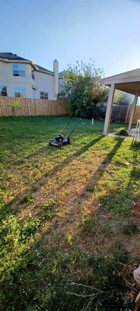 Affordable yard cleanup service in Dallas, TX - Barkwells Cleaning & Landscaping