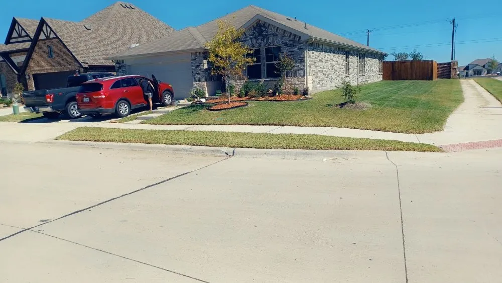 Local yard cleanup service in Dallas, TX by Barkwells Cleaning & Landscaping