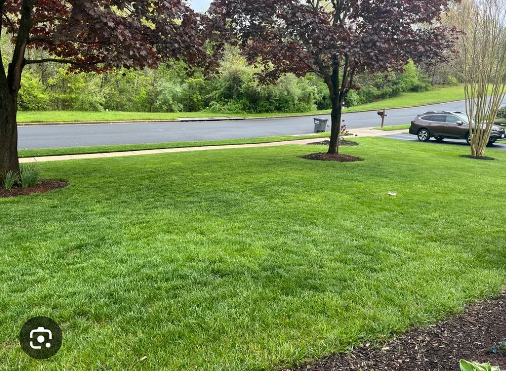 Trusted lawn care service in Marion, KS by Barlow Lawn Care Services
