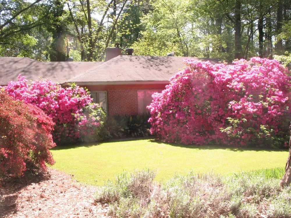 Reliable yard cleanup service in Decatur, GA - Barnaby's Green Thumb