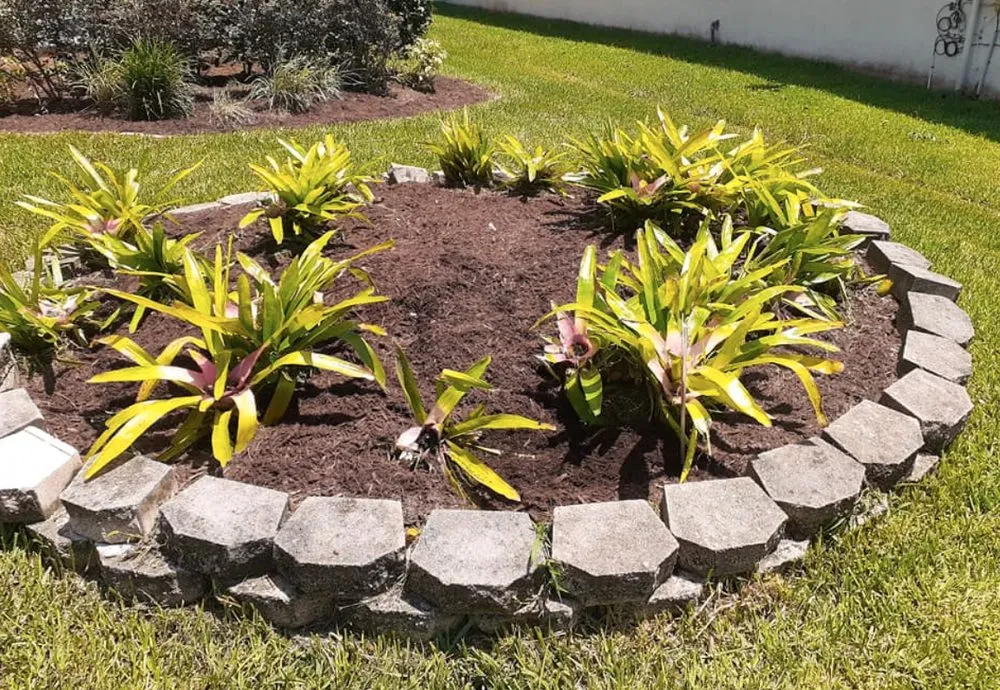 Trusted landscaping services experts serving Summerfield, FL - Barnards lawn service