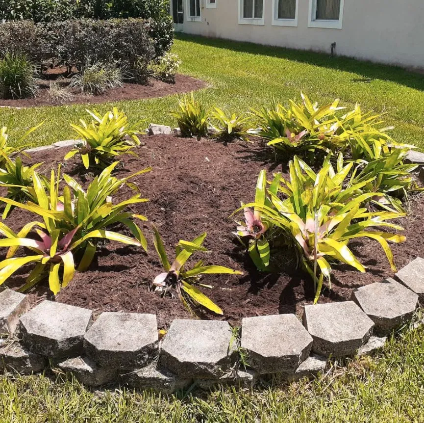 Custom yard cleanup service near you in Summerfield, FL by Barnards lawn service