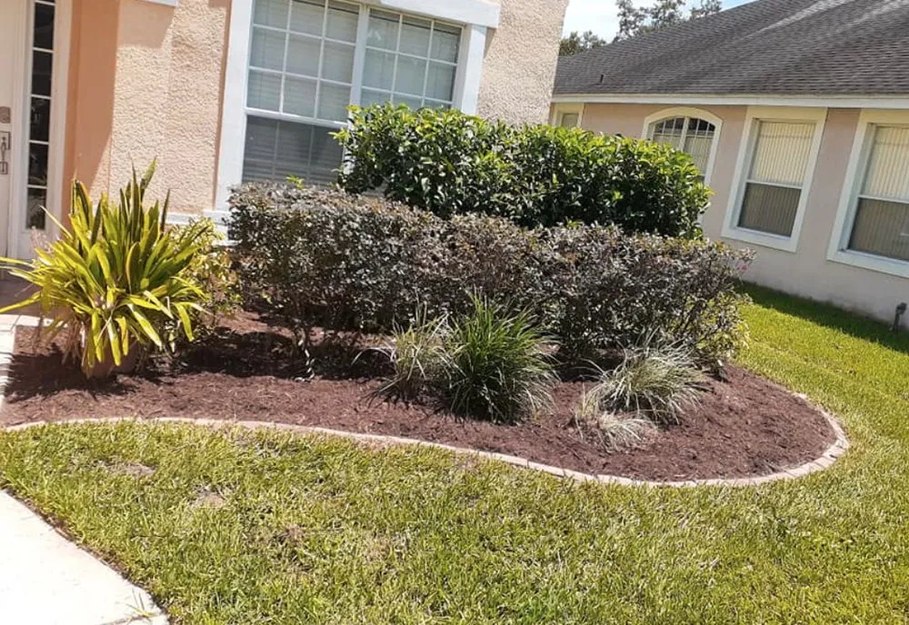 Affordable residential landscaping for year-round maintenance in Summerfield, FL by Barnards lawn service