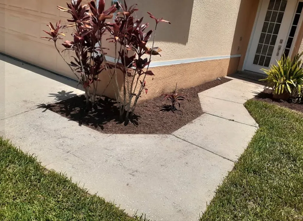 Top-rated landscape design in Summerfield, FL - Barnards lawn service