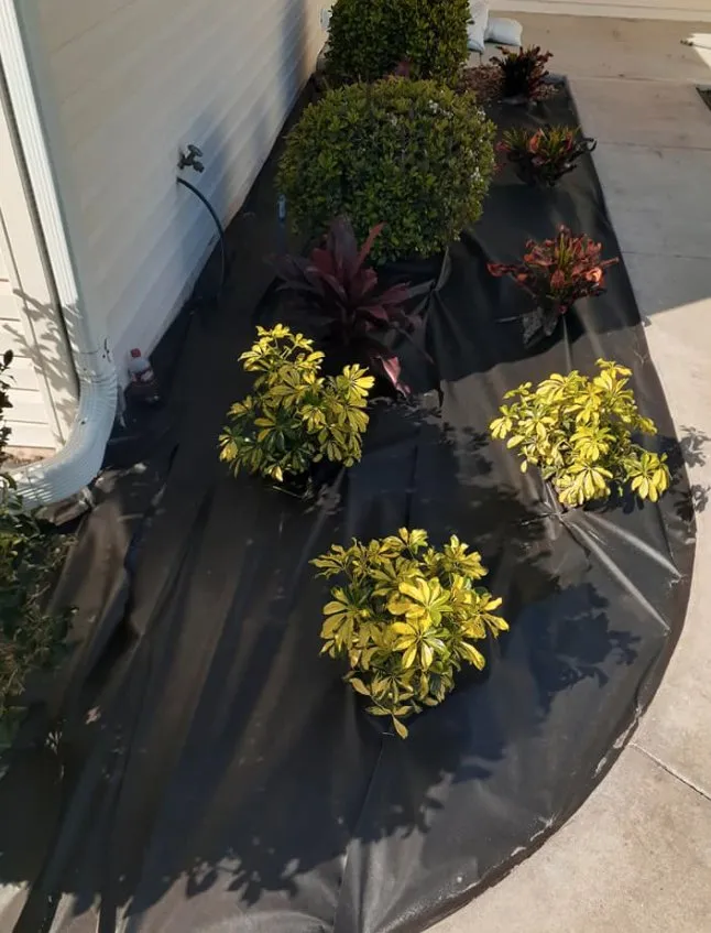 Expert yard maintenance near you across Summerfield, FL - Barnards lawn service